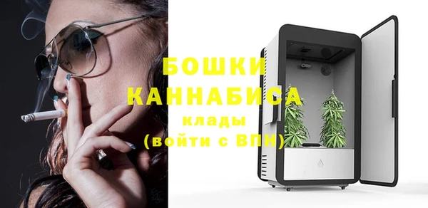 прущие крисы Балахна