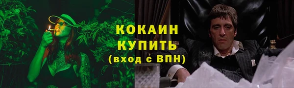 прущие крисы Балахна