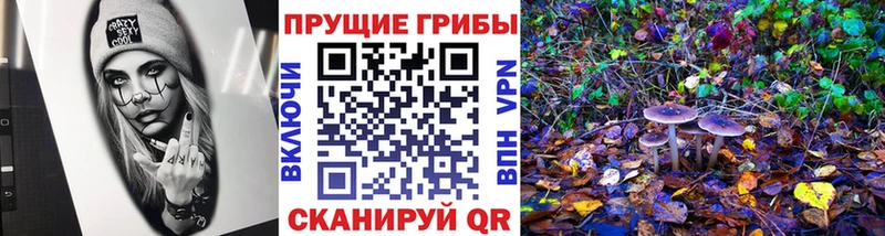Псилоцибиновые грибы Magic Shrooms  Стародуб 