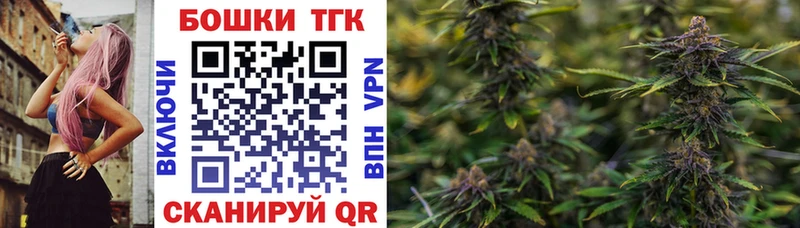 Каннабис гибрид  Стародуб 